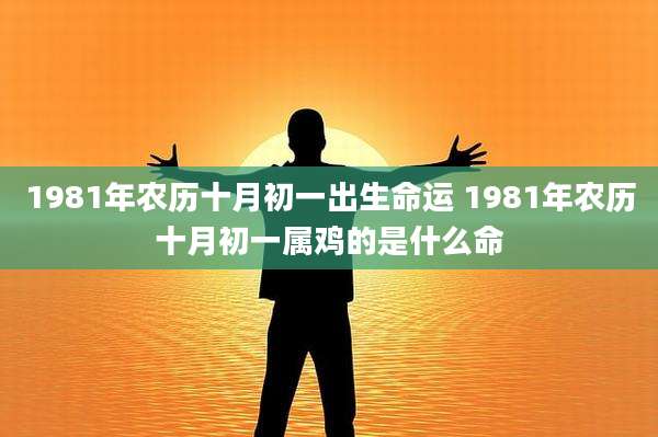 1981年农历十月初一出生命运 1981年农历十月初一属鸡的是什么命