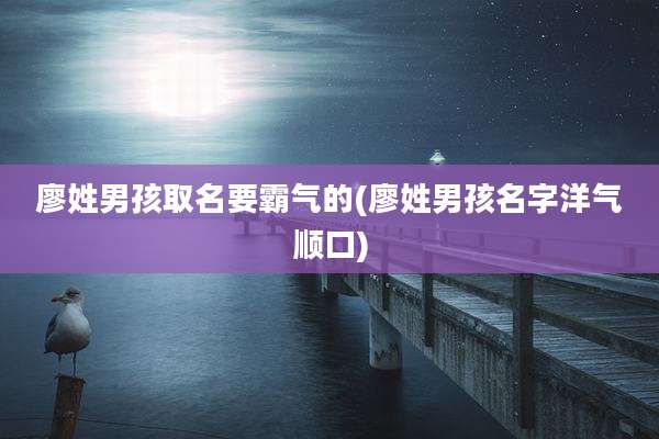 廖姓男孩取名要霸气的(廖姓男孩名字洋气顺口)