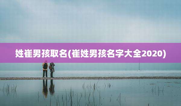 姓崔男孩取名(崔姓男孩名字大全2020)