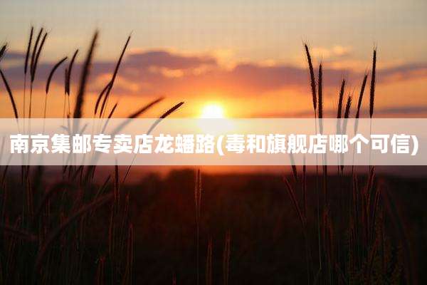 南京集邮专卖店龙蟠路(毒和旗舰店哪个可信)