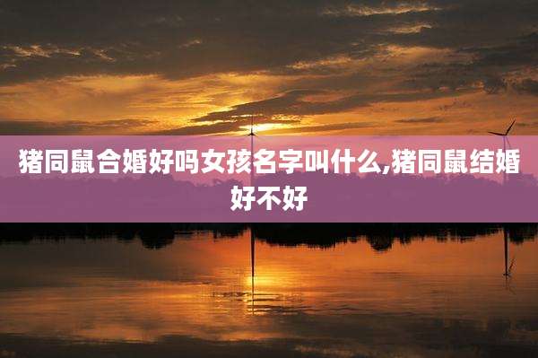 猪同鼠合婚好吗女孩名字叫什么,猪同鼠结婚好不好