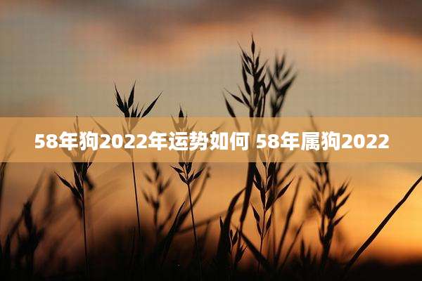 58年狗2022年运势如何 58年属狗2022