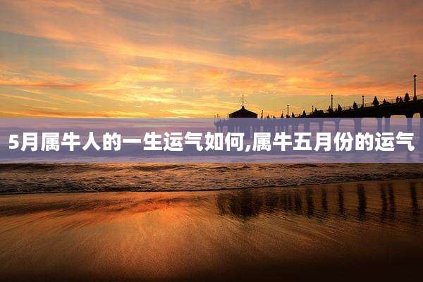 5月属牛人的一生运气如何,属牛五月份的运气