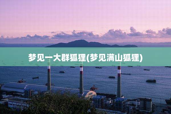 梦见一大群狐狸(梦见满山狐狸)