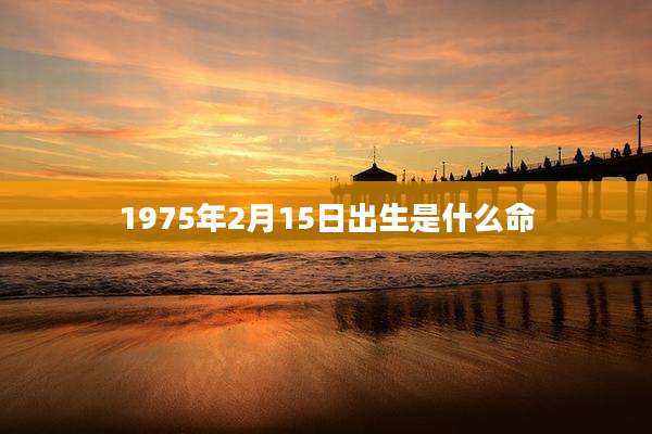 1975年2月15日出生是什么命