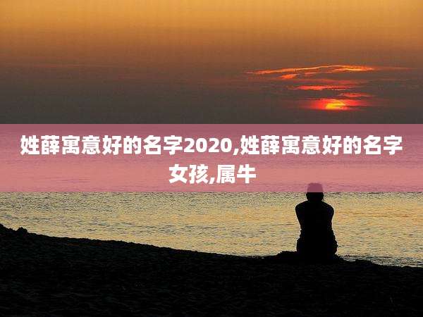 姓薛寓意好的名字2020,姓薛寓意好的名字女孩,属牛