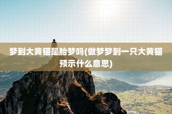 梦到大黄猫是胎梦吗(做梦梦到一只大黄猫预示什么意思)
