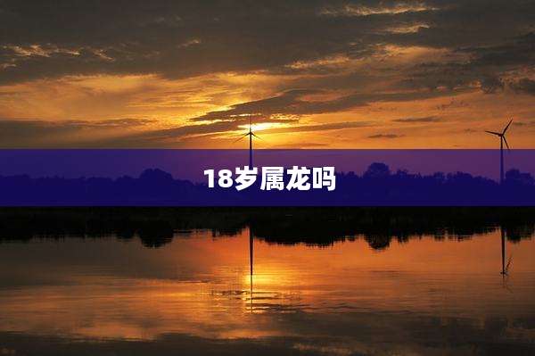 18岁属龙吗