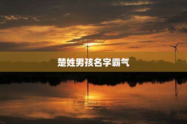 楚姓男孩名字霸气