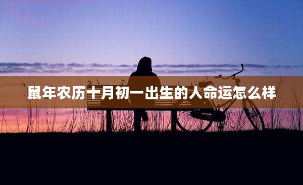 鼠年农历十月初一出生的人命运怎么样