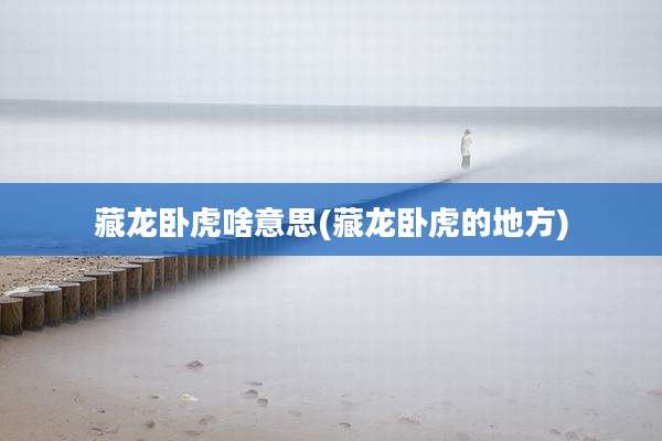 藏龙卧虎啥意思(藏龙卧虎的地方)