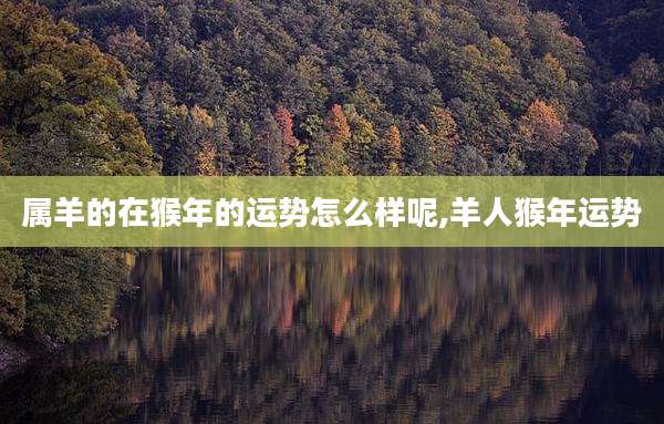 属羊的在猴年的运势怎么样呢,羊人猴年运势