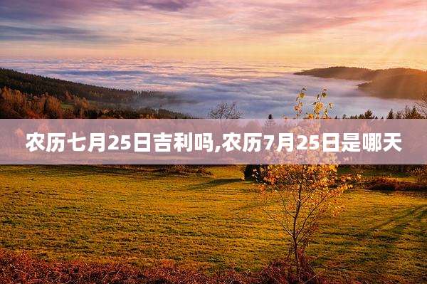 农历七月25日吉利吗,农历7月25日是哪天