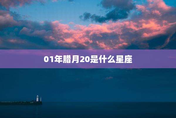 01年腊月20是什么星座