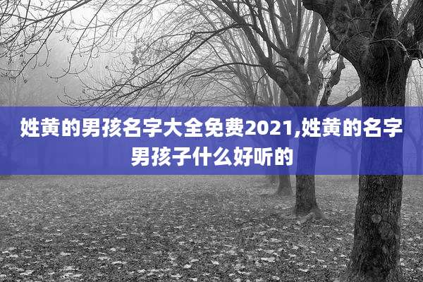 姓黄的男孩名字大全免费2021,姓黄的名字男孩子什么好听的