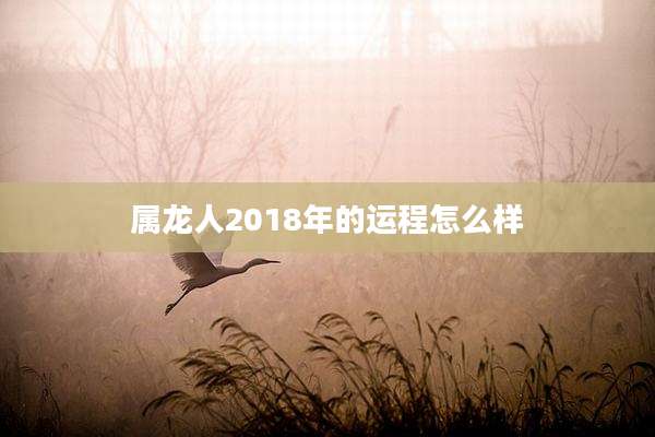 属龙人2018年的运程怎么样