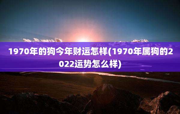 1970年的狗今年财运怎样(1970年属狗的2022运势怎么样)