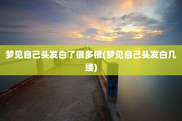 梦见自己头发白了很多根(梦见自己头发白几缕)