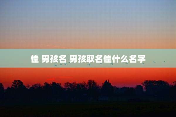 佳 男孩名 男孩取名佳什么名字