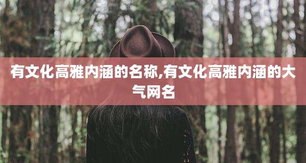 有文化高雅内涵的名称,有文化高雅内涵的大气网名