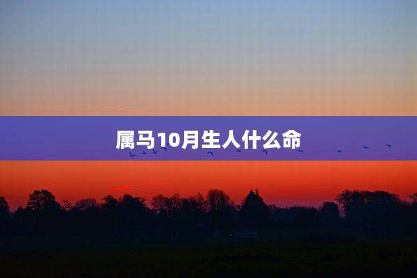 属马10月生人什么命