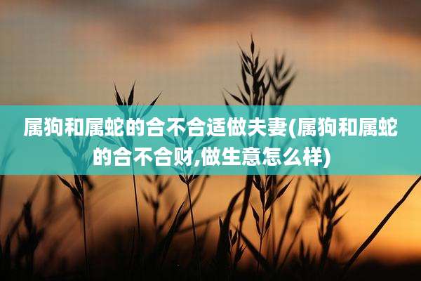 属狗和属蛇的合不合适做夫妻(属狗和属蛇的合不合财,做生意怎么样)