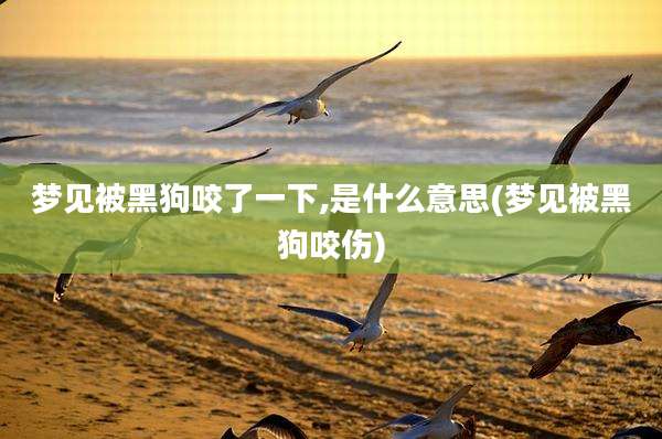 梦见被黑狗咬了一下,是什么意思(梦见被黑狗咬伤)