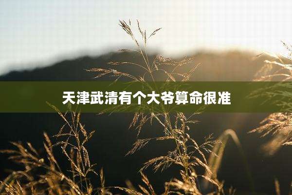 天津武清有个大爷算命很准