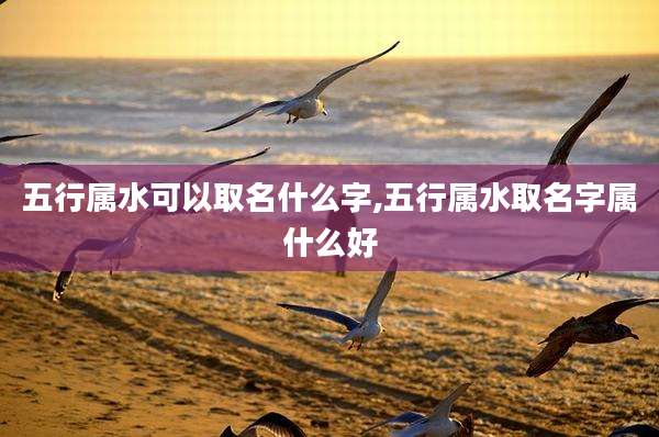 五行属水可以取名什么字,五行属水取名字属什么好