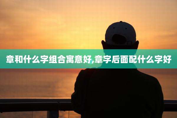 章和什么字组合寓意好,章字后面配什么字好