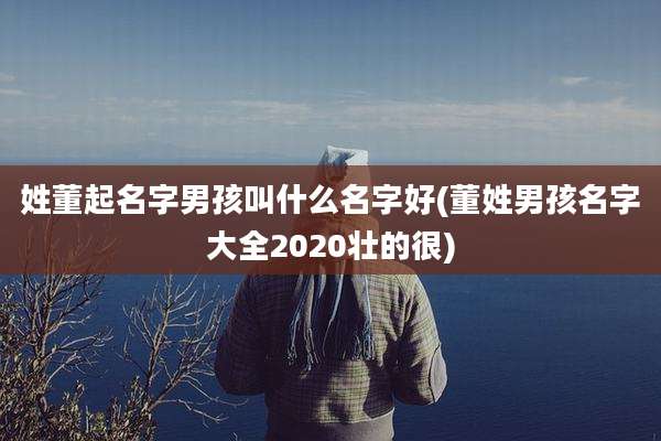 姓董起名字男孩叫什么名字好(董姓男孩名字大全2020壮的很)