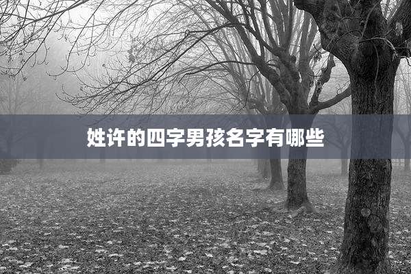 姓许的四字男孩名字有哪些