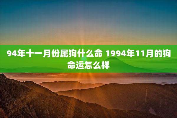 94年十一月份属狗什么命 1994年11月的狗命运怎么样