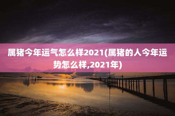 属猪今年运气怎么样2021(属猪的人今年运势怎么样,2021年)