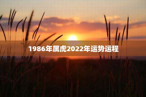 1986年属虎2022年运势运程