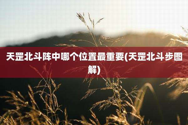 天罡北斗阵中哪个位置最重要(天罡北斗步图解)