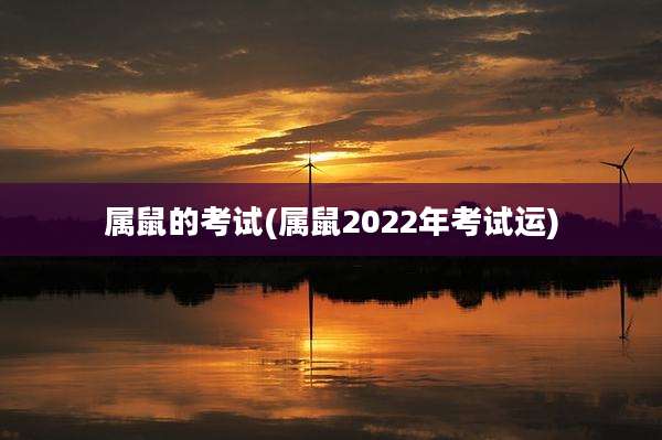 属鼠的考试(属鼠2022年考试运)