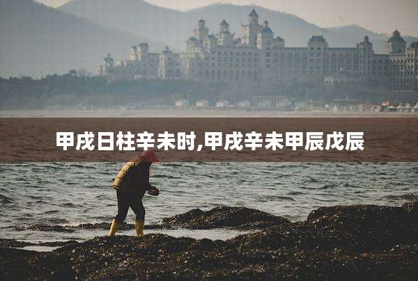 甲戌日柱辛未时,甲戌辛未甲辰戊辰