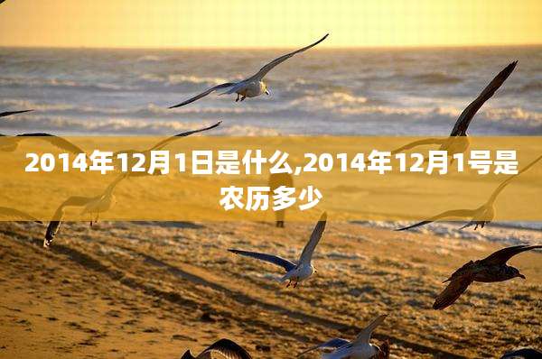 2014年12月1日是什么,2014年12月1号是农历多少