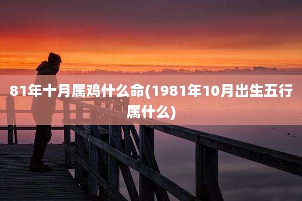 81年十月属鸡什么命(1981年10月出生五行属什么)