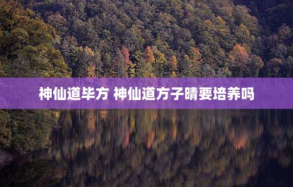 神仙道毕方 神仙道方子晴要培养吗