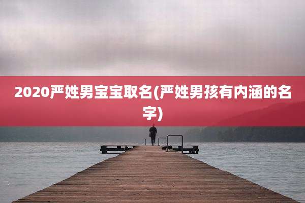 2020严姓男宝宝取名(严姓男孩有内涵的名字)