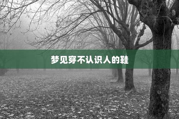 梦见穿不认识人的鞋