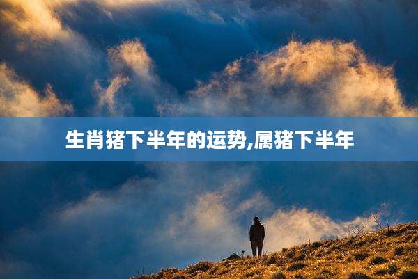 生肖猪下半年的运势,属猪下半年