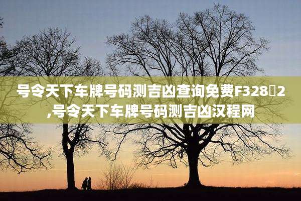号令天下车牌号码测吉凶查询免费F328乚2,号令天下车牌号码测吉凶汉程网