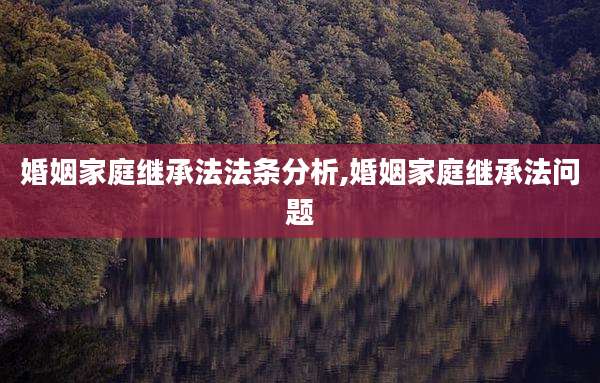 婚姻家庭继承法法条分析,婚姻家庭继承法问题