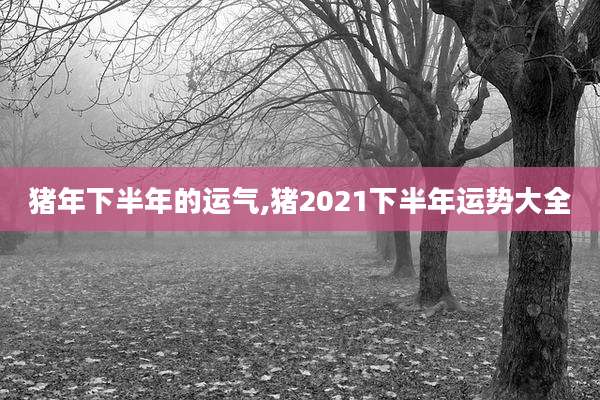 猪年下半年的运气,猪2021下半年运势大全