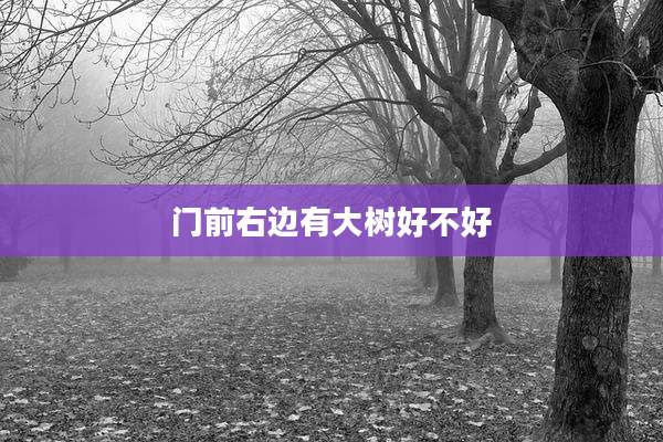 门前右边有大树好不好