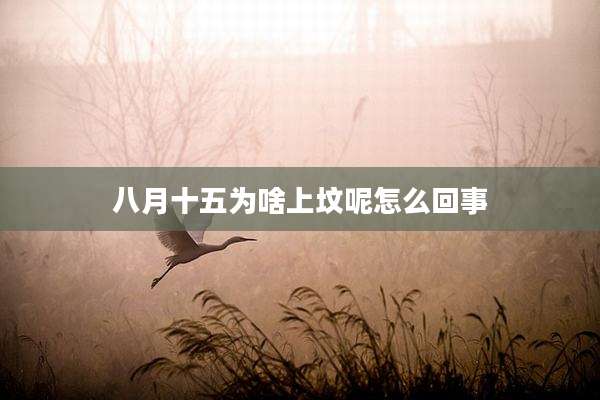 八月十五为啥上坟呢怎么回事