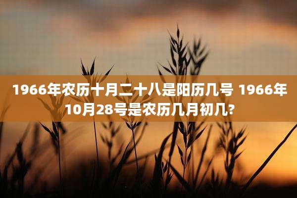 1966年农历十月二十八是阳历几号 1966年10月28号是农历几月初几?